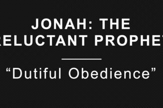 Thumbnail for the post titled: Dutiful Obedience