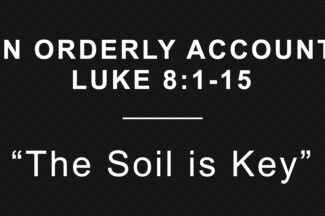 Thumbnail for the post titled: The Soil is Key