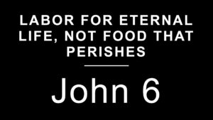 Labor for Eternal life, not Food that Perishes