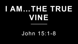 I Am … the True Vine