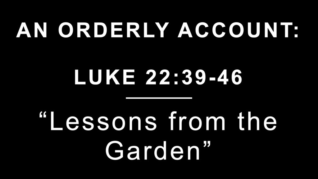 Lessons From the Garden