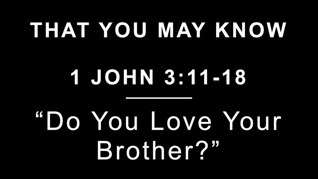 Do You Love Your Brother?