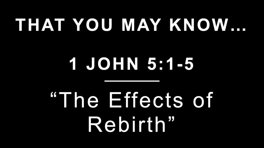 The New Rebirth