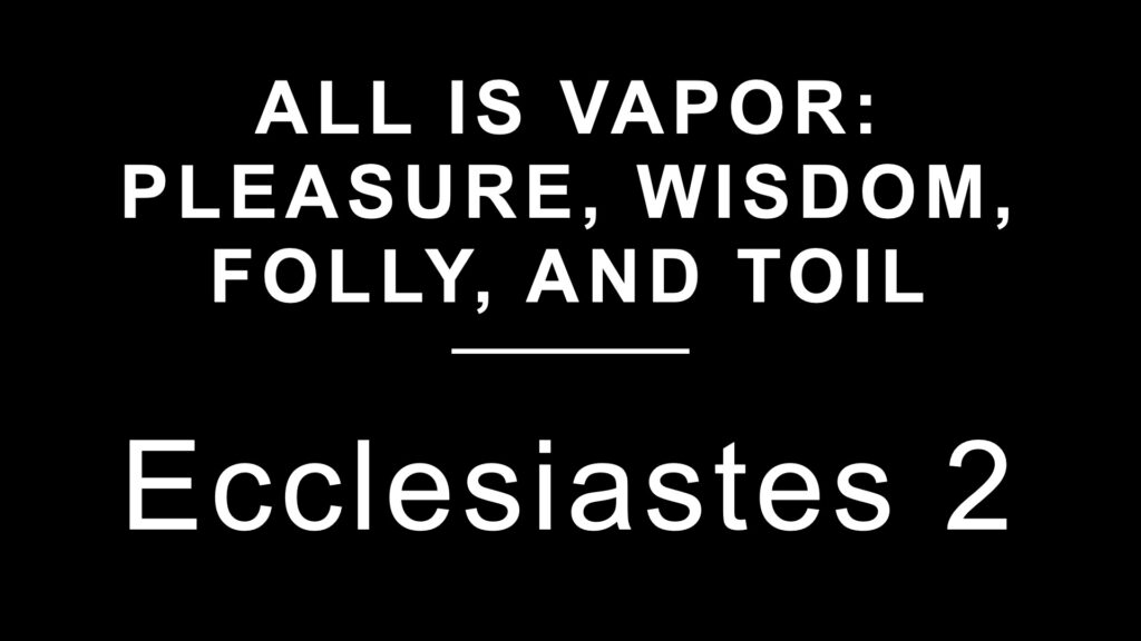 Pleasure, Wisdom, Folly, and Toil are all Vapor